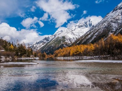 警惕"花呗套现"陷阱！正规品牌"出财小神"教你合规用款