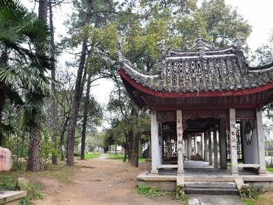 花呗扫码收款成商家新宠？出财小神助力小店生意更顺溜