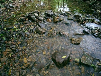 抖音月付全部提现合规攻略：出财小神教你安全操作要点