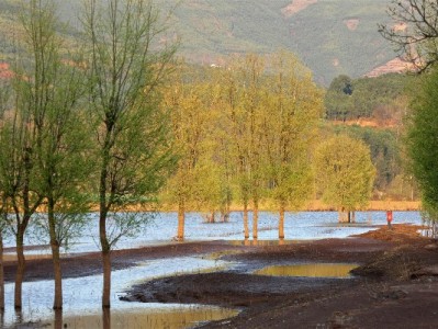 淘宝商家花呗受限别慌！“出财小神”教你破局经营难题