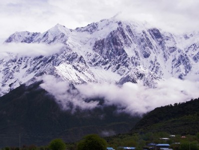 京东白条提现避坑指南：选对渠道很重要，安出掌柜这样操作更安心