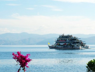 抖音月付遇商家问题？手把手教你高效投诉维权全流程