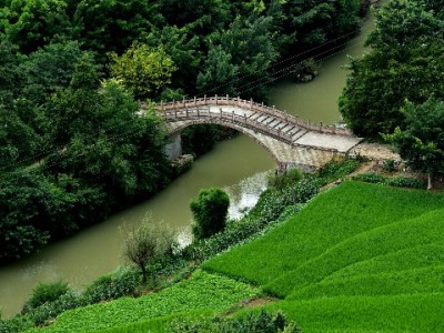 开通京东白条提现前必看！“出财小神”教你理性评估利弊
