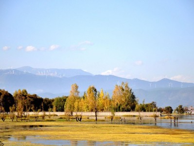 花呗当面花能提现？这些风险可能让你得不偿失