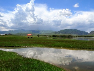 医保账户取现怎么操作？出财小神带您看懂各地最新政策