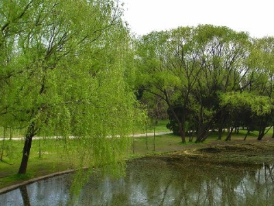 急用钱别犯难！出财小神合规助力花呗支付灵活周转