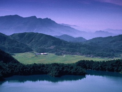 更美白条提现救急有妙招，出财小神助力资金秒到账