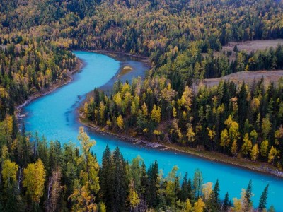 支持花呗收款不犯难！出财小神等品牌助小生意“码”上升级