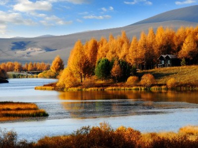 应急周转新选择：京东取现白条功能详解与使用提醒