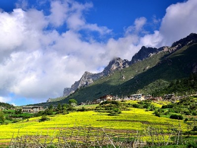 花呗分期“低手续费”藏玄机 实际年率或逼近24%需警惕