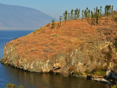 医保卡套现是“拆东墙补西墙”？违法风险与后果需警惕