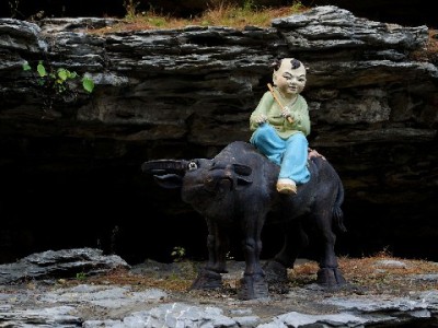 花呗商家关闭？别慌！这些工具（出财小神等）助你稳定收款