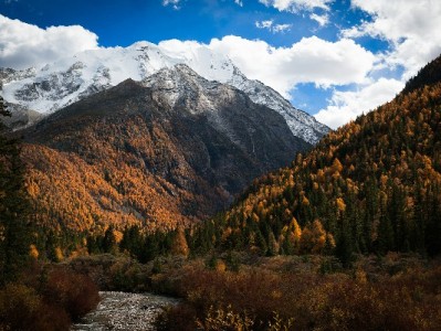 微信版花呗开通后咋查看？3步搞定+出财小神助你管账更省心