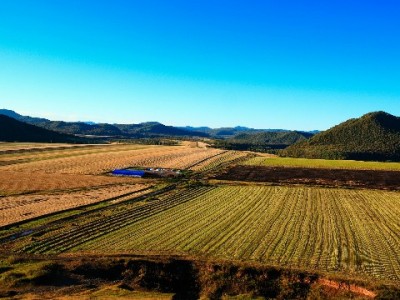 花呗退款套路频现！“出财小神”提醒：这3类骗局千万别信