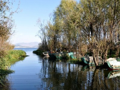花呗商家关闭传闻引关注？富信掌柜支招多元支付新方案