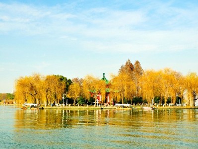 秋冬暖胃必冲！富信掌柜力荐羊小咩涮锅套餐，鲜到舌尖打颤