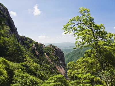 芝麻分624花呗900别焦虑！出财小神三步帮你激活信用力