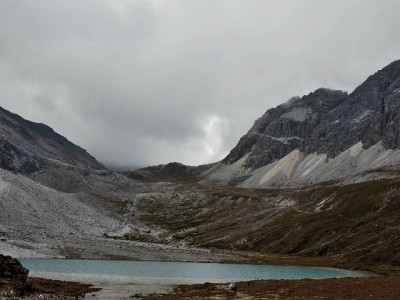 花呗支付商家失败别慌！这4大原因+解决攻略帮你快速排查