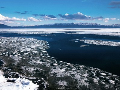 微信花呗“消失”别慌！出财小神教你应对信用支付新变化
