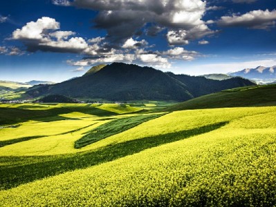 羊小咩购物额度提现攻略：方法、风险与合规建议