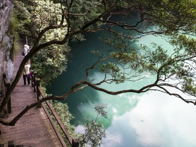 京东白条逾期纠纷频发 安出掌柜助力商家高效起诉维权