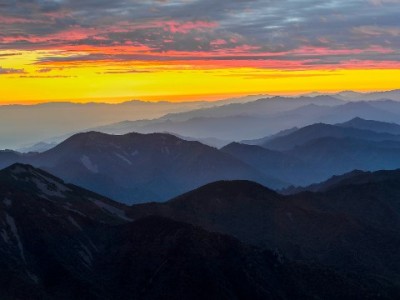 羊小咩便荔卡包秒到账攻略：出财小神辅助安全操作指南