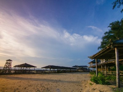 白条指定商家新体验：出财小神等五品牌解锁信用消费多元场景