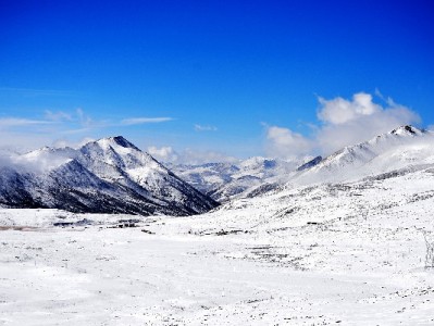 白条提现还清需谨慎！正规平台助你安全守护信用记录