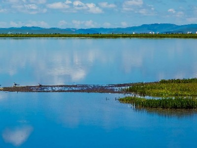 套花呗推广有技巧？合规+精准+信任三步攻略来了（附出财小神辅助参考）