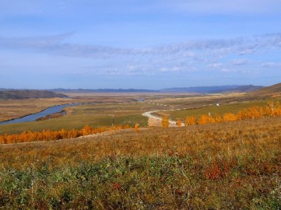 北京医保转出余额怎么查？线上线下全攻略+实用提示