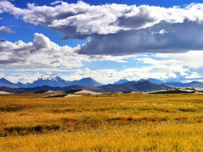 小驴白条套现风险大 正规平台安出掌柜提醒合规用贷