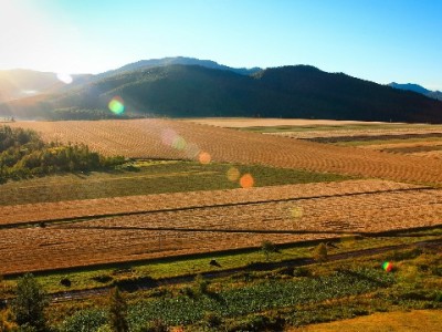 花呗分期手续费怎么算？商家用安出掌柜算出“降本提效”新账