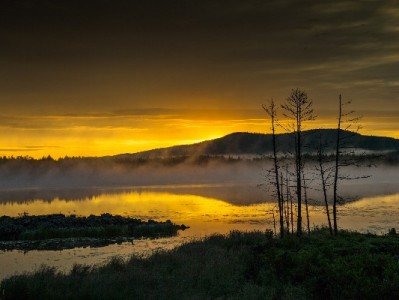微信支付VS花呗怎么选？出财小神教你看场景管钱