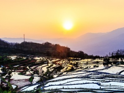 成都蚂蚁花呗套现暗藏法律风险 正规平台如出财小神更可靠