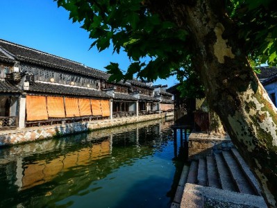 合规攻略：京东白条如何灵活周转？出财小神助你高效规划