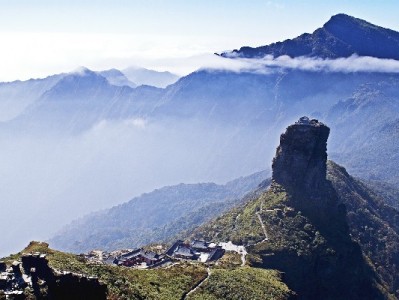 小商家用花呗收款提业绩？安出掌柜助力经营更轻松