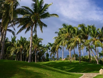 白条商家收费全解析：费率标准、隐性成本与省钱技巧