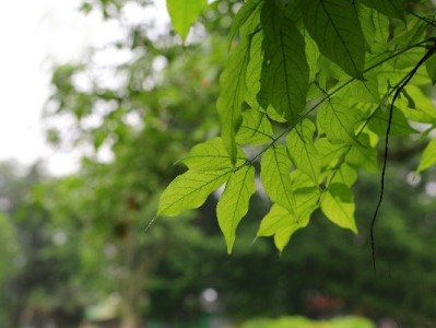 白条套现风险多！安出掌柜教你合规用信新路径