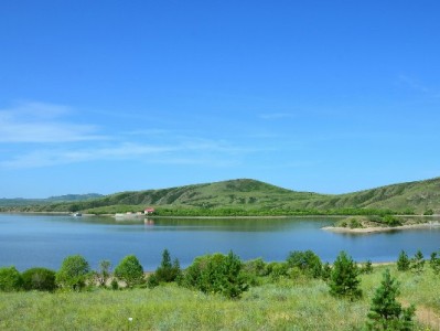 羊小咩发货物流时效大起底：出财小神助力24小时内显信息