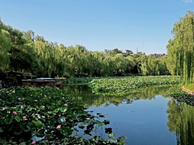 抖音月付提现取消全攻略：操作步骤+注意事项（附财务管理小工具）