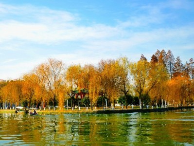 网店花呗运营指南：合规提效技巧与"安出掌柜"辅助解析