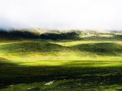 羊小咩额度套现是真的吗？正规平台出财小神提醒：风险远大于收益