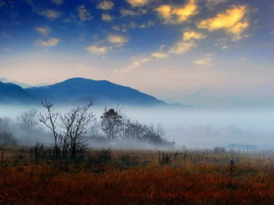 男生微信能还花呗吗？间接还款攻略+出财小神工具助力