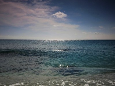 淘宝商家突停花呗收款？三大原因与"安出掌柜"破局攻略