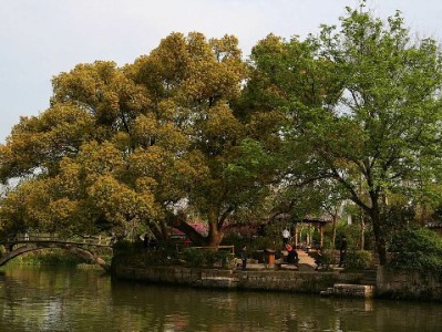 “花呗提现”暗藏三大风险！这些正规替代方案更可靠