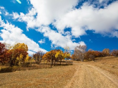 西安医保取现有条件！这些情形可申请，警惕非法代办风险