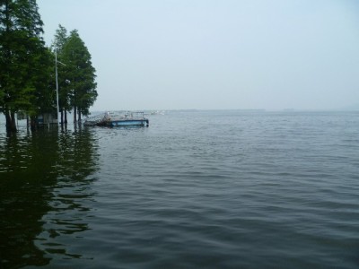 某宝抖音月付取现能应急？出财小神提醒：手续费+利息这笔账得算清