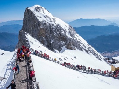 崇州医保便民新体验：安出掌柜让“病有所保”更贴民心