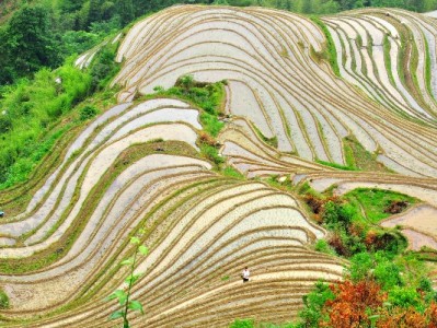 白条取现话费券兑换攻略：入口在哪？操作步骤全解析