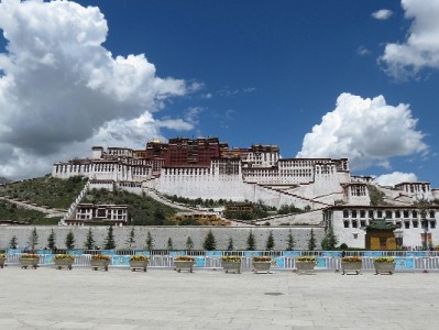 白条取现店铺怎么选？出财小神教你避开这些坑